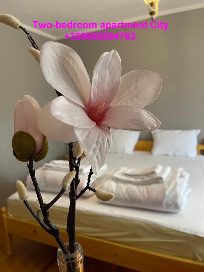2 Bedroom Apartment City Blagoevgrad Kültér fotó